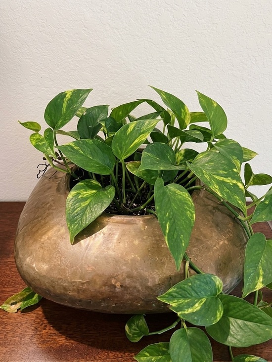Estate Other - MCM Solid Brass Vintage Planter Hammered Decorative Bowl Vase Cushion-Shaped